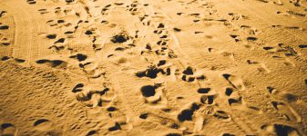 chuttersnap-126904-unsplash