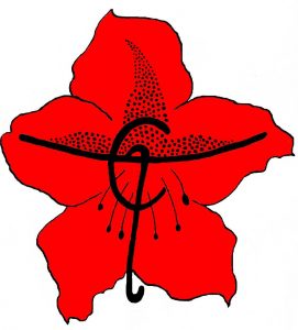 1965691_264930127024803_537433344531800810_o