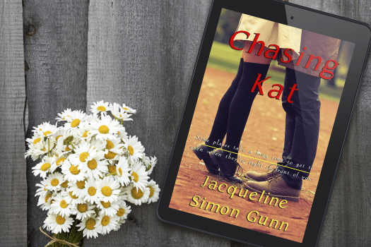 3 chasing kat teaser 2