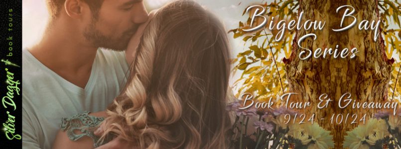 bigelow bay series banner