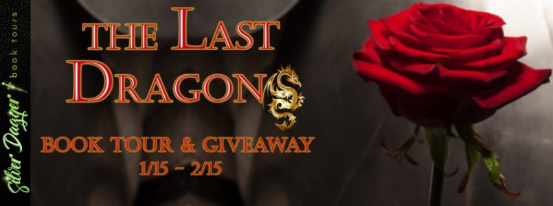 the last dragon banner