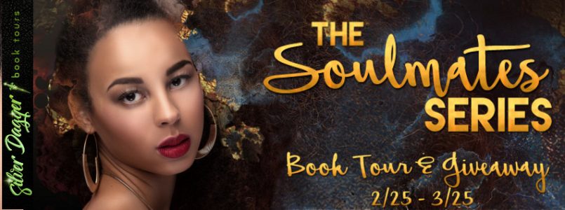 the soulmates series tour banner
